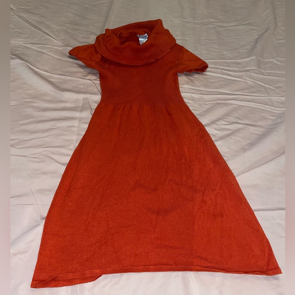 Turtle neck dress